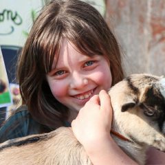 Animaux en q : Découvrez les espèces fascinantes et leurs caractéristiques uniques